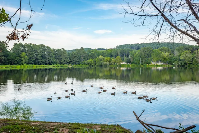 $1,500,000 | 1346-1372 Peggy Lane, Tunnel Hill, GA 30755