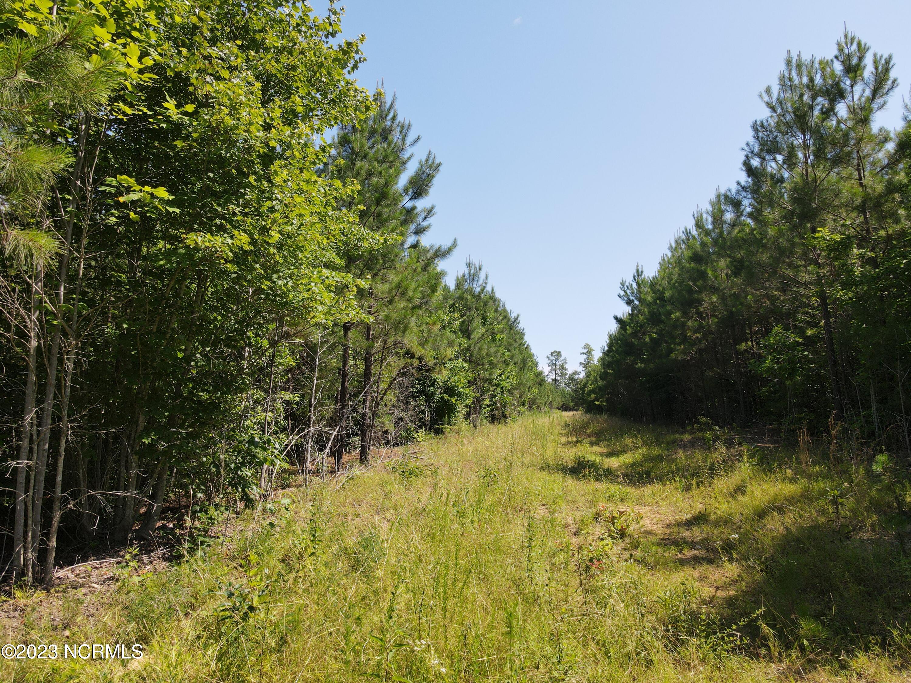 472 Eaton Ferry Road Littleton, NC 27850 - Photo 47 of 86 EFR 32