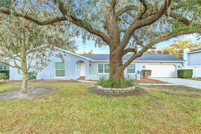a house that has a tree in front of it