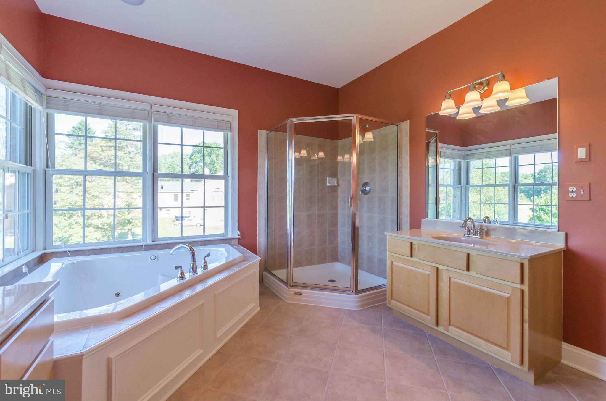 13450 Blenheim Road Phoenix, MD 21131 - Photo 22 of 28 Master Bath