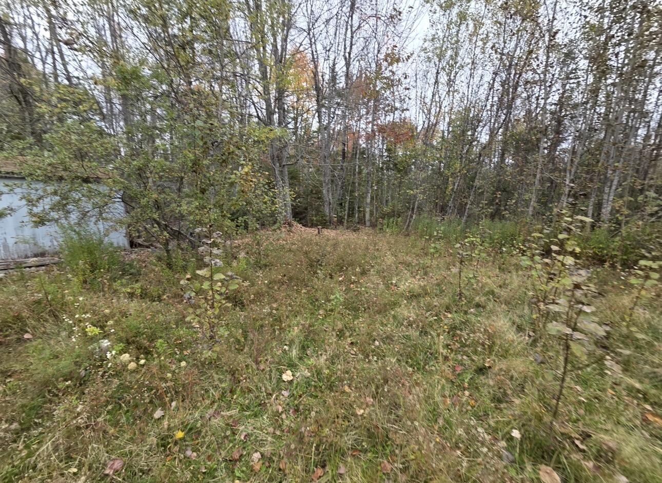 42 Clewley Road Glenburn, ME 04401 - Photo 6 of 6 IMG_7269