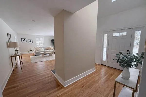 a living room with furniture and a potted plant