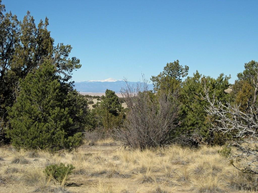 Lot 8 Wyatt Court Rye, CO 81069 - Photo 7 of 21