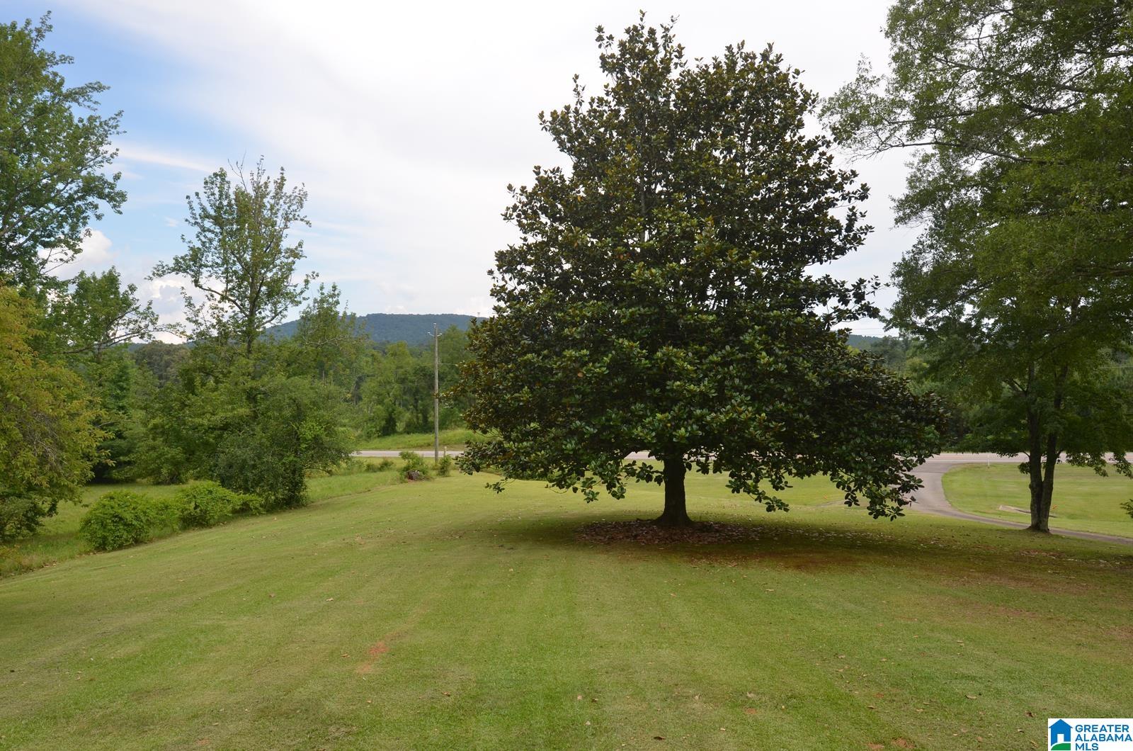 12691 Highway 46 Heflin, AL 36264 - Photo 9 of 63