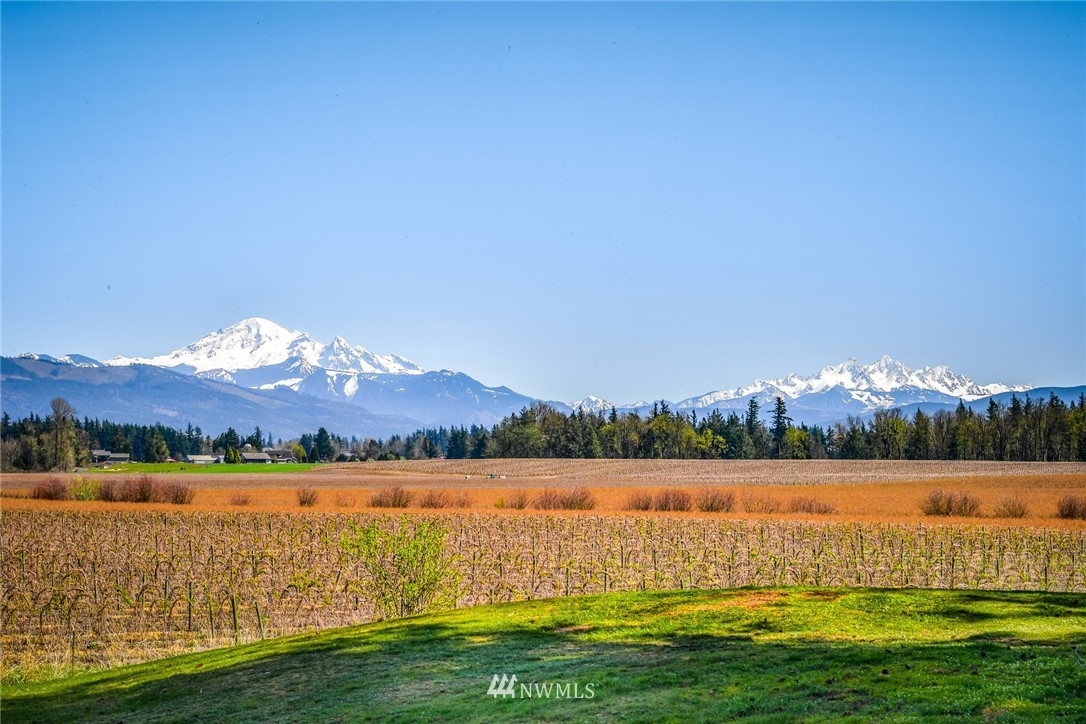 6850 Raspberry Dr., Unit B Everson, WA 98247 - Photo 33 of 36