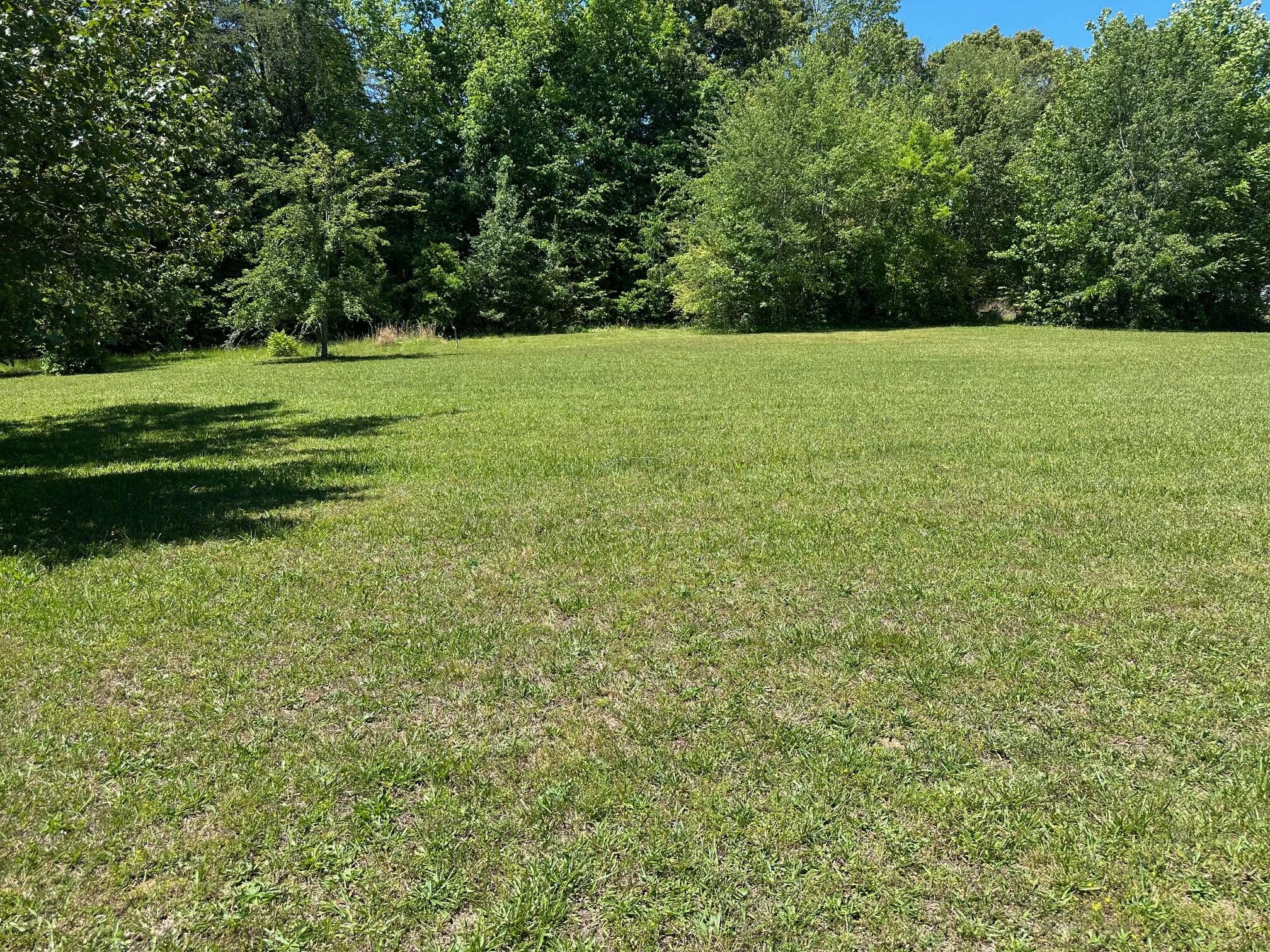 0 Mars Hill Road Spring City, TN 37381 - Photo 8 of 13 Gallery Image 8
