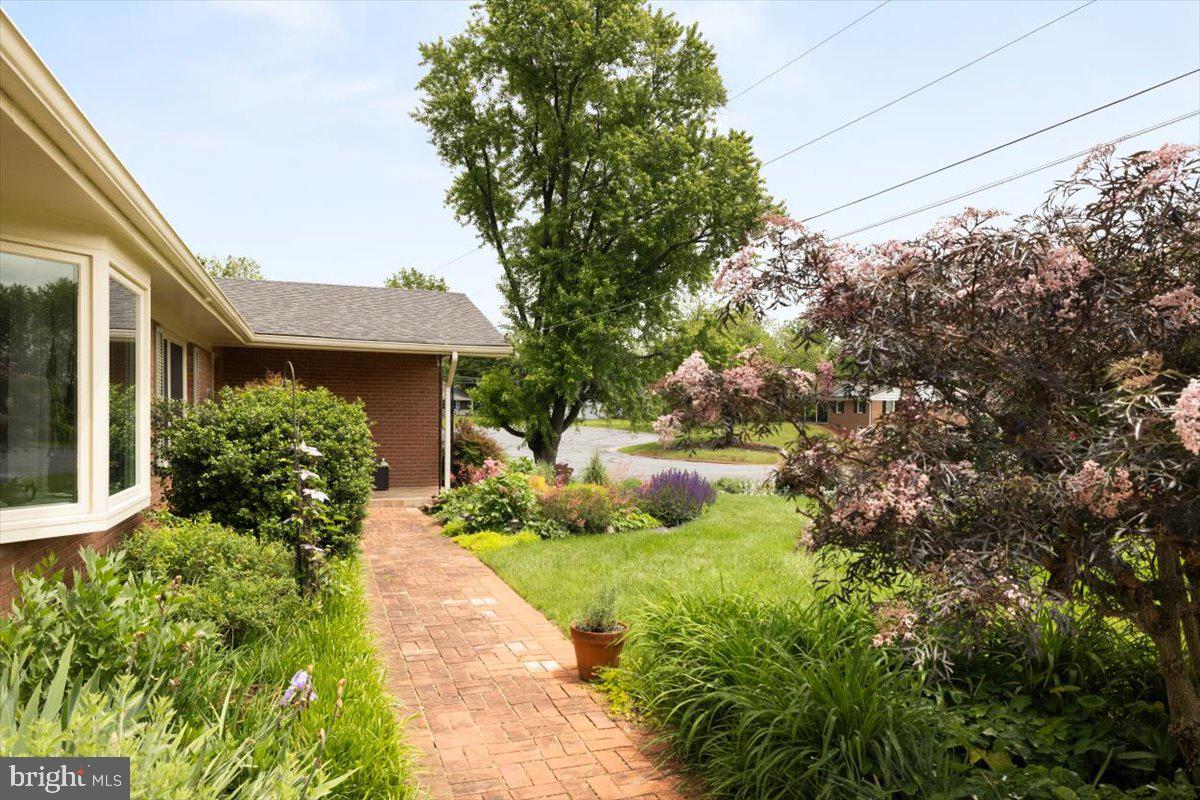 331 Ridge Avenue Winchester, VA 22601 - Photo 4 of 45 Gallery Image 4