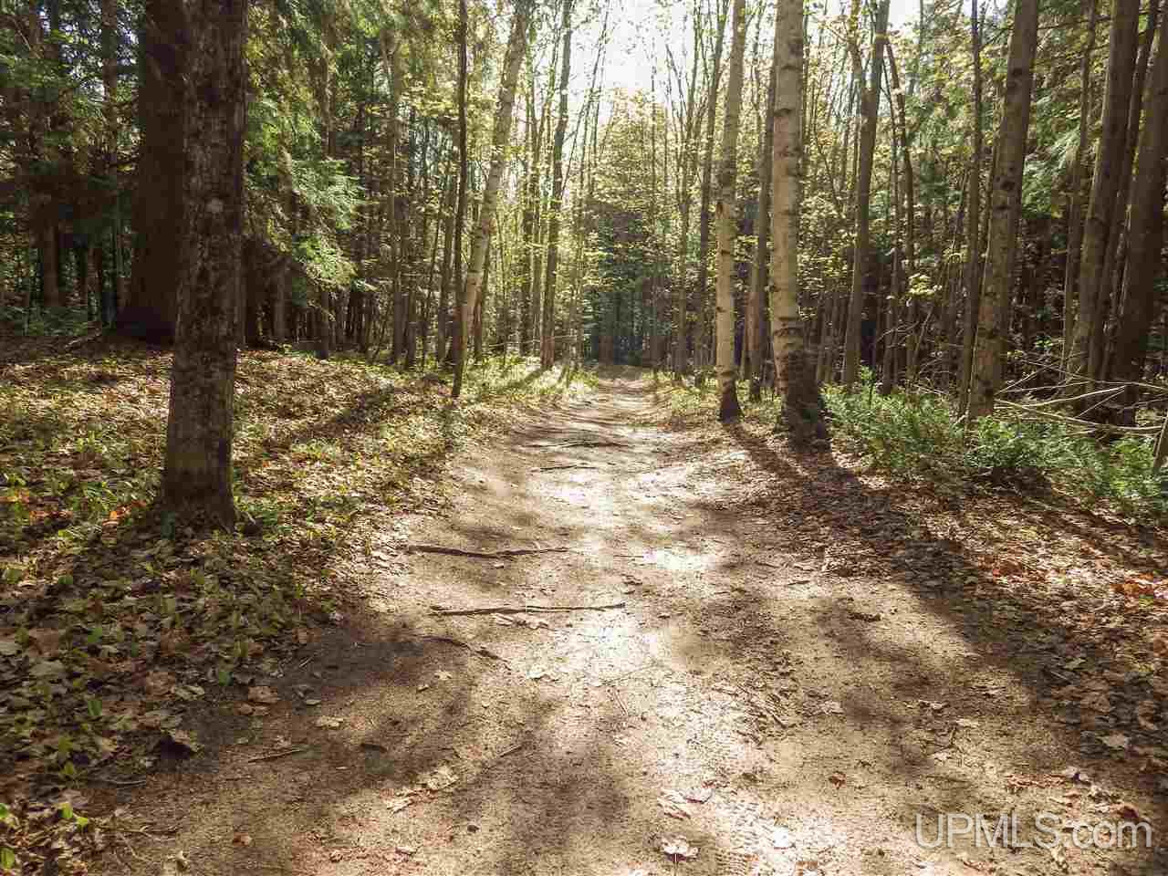 30 Acres Off Grove Street Marquette, MI 49855 - Photo 12 of 22