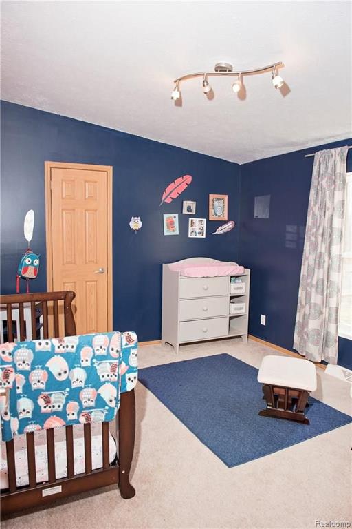 50168 Arkona Road Belleville, MI 48111 - Photo 28 of 39 Gallery Image 28