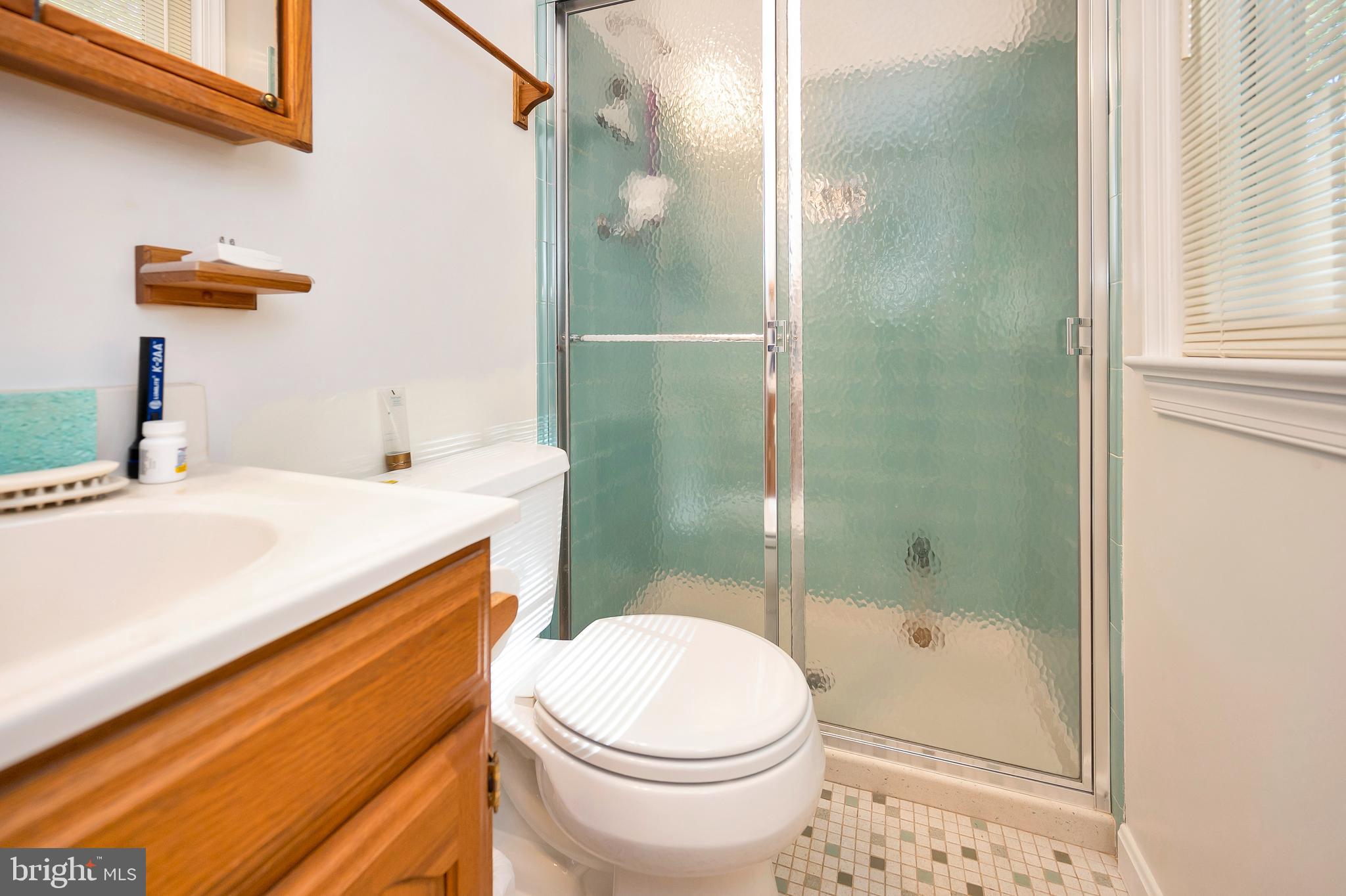 7399 Roxbury Avenue Manassas, VA 20109 - Photo 26 of 45 PRIMARY BATH