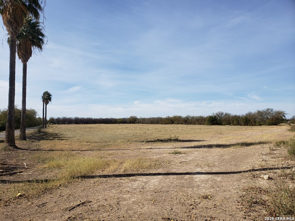 10.01-acres Abdala Road Quemado, TX 78832 - Photo 3 of 15