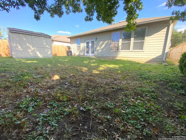 a view of a backyard with potted plants and a large tree