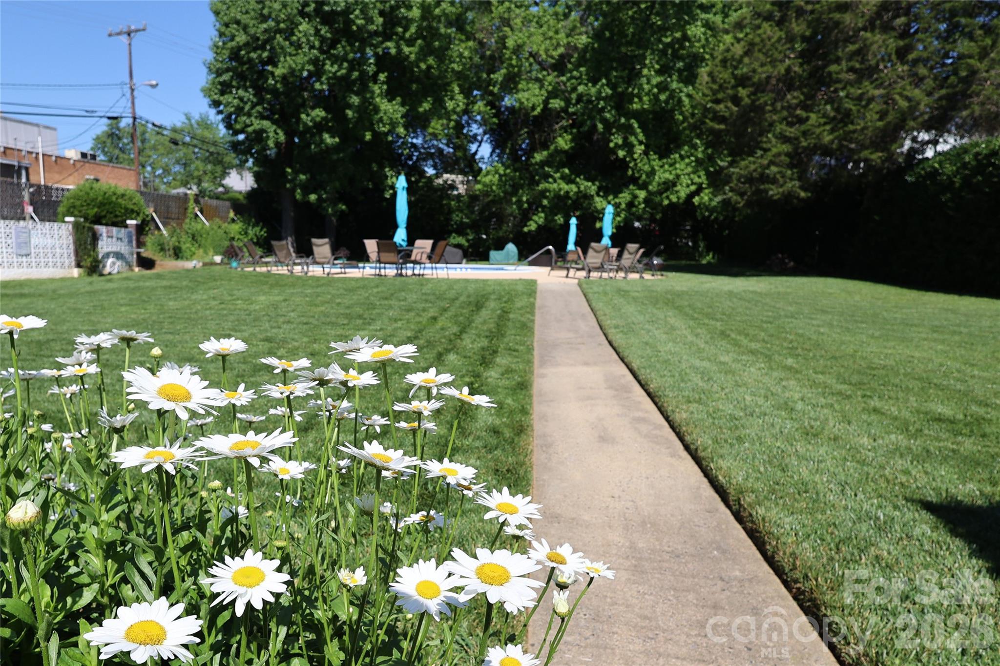 1300 Reece Road, Unit 300 Charlotte, NC 28209 - Photo 22 of 23 a view of a garden with a fountain