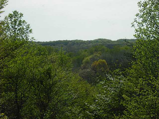 16200 Angle Road Logan, OH 43138 - Photo 6 of 12 Gallery Image 6