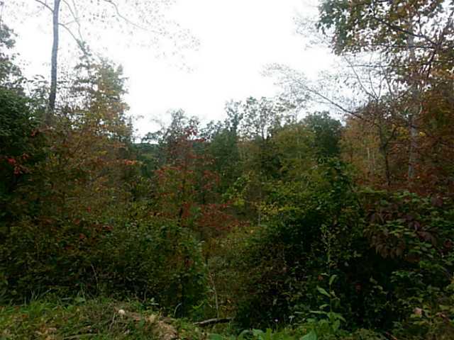 16200 Angle Road Logan, OH 43138 - Photo 10 of 12 Gallery Image 10