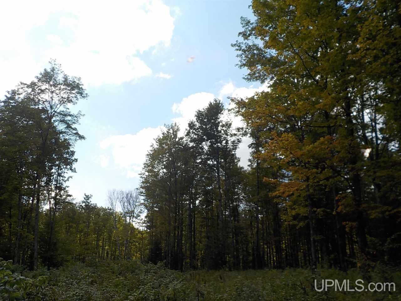 80-ac Mcclaren Road Crystal Falls, MI 49920 - Photo 11 of 27