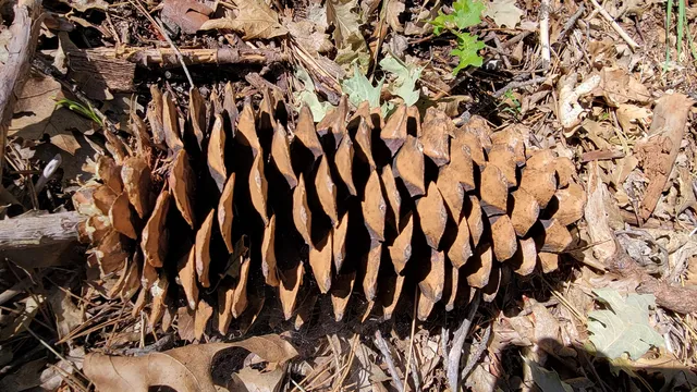 view of a stone wall