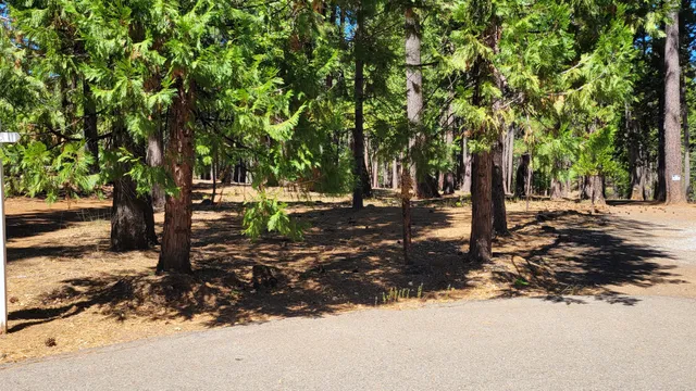 $45,000 | Lot 8 Whispering Winds Court, Shingletown, CA 96088