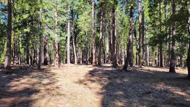 a view of outdoor space with trees