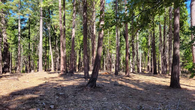 a view of outdoor space with trees