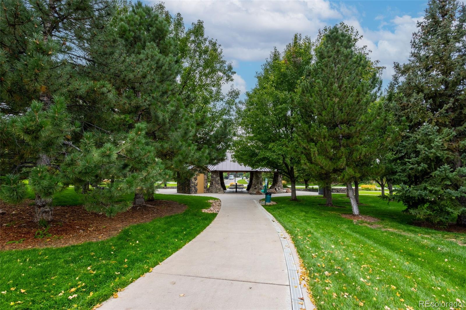 10704 Riverbrook Circle Highlands Ranch, CO 80126 - Photo 10 of 40 a view of a park with large trees