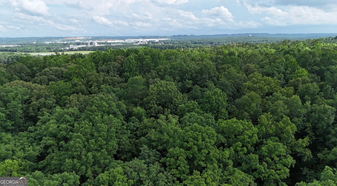 0 Forest Glen Road, Unit A Sylacauga, AL 35151 - Photo 9 of 65