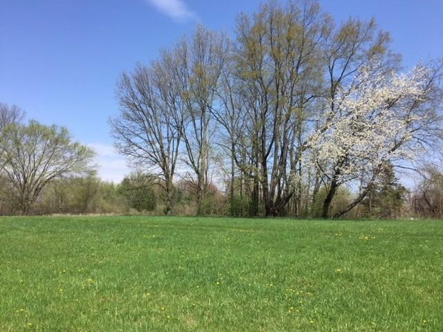 8616 Merrill Road Whitmore Lake, MI 48189 - Photo 29 of 33 Photo 29
