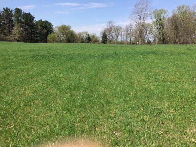 8616 Merrill Road Whitmore Lake, MI 48189 - Photo 30 of 33 Photo 30