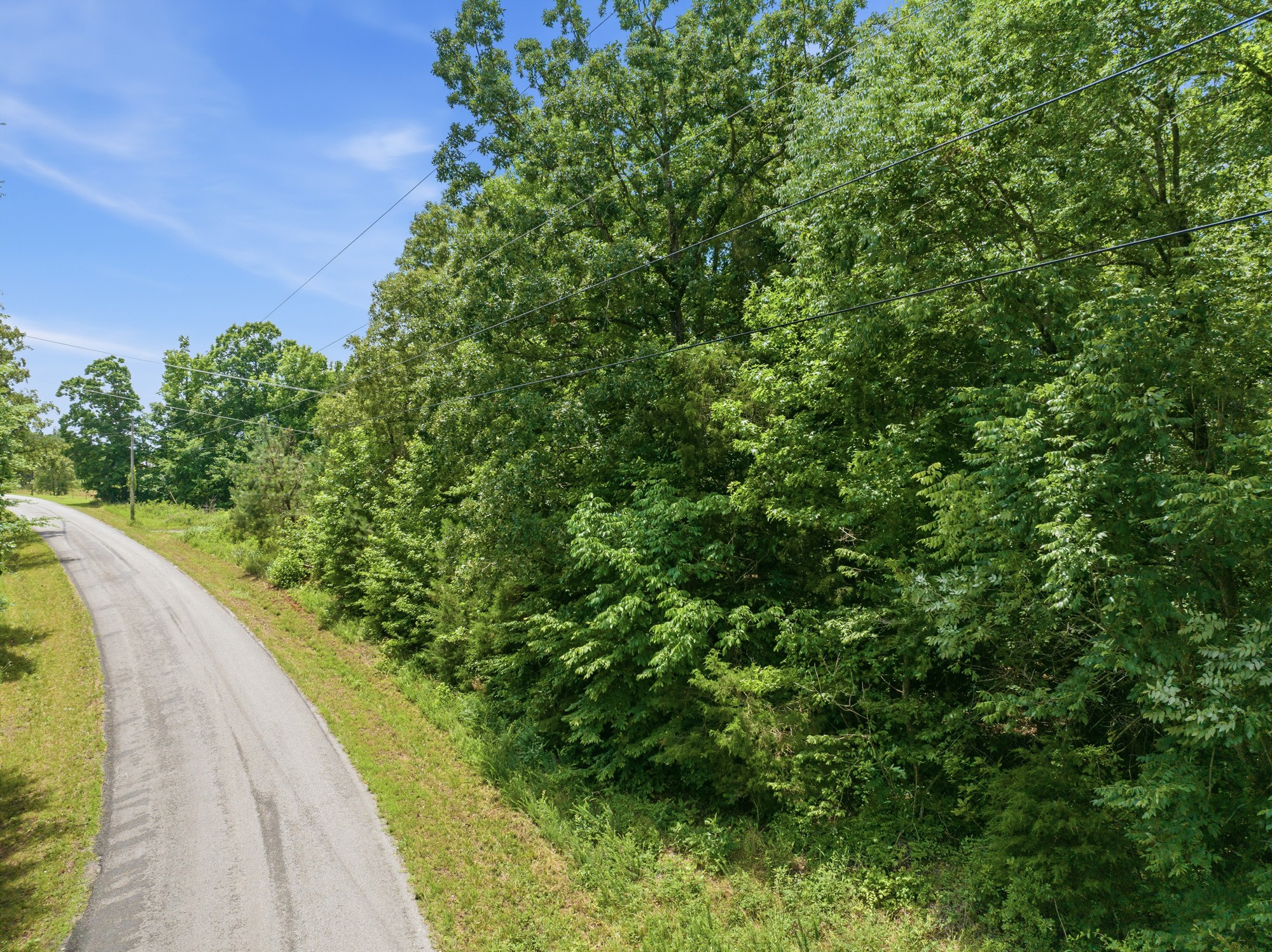 800 Smith Chapel Road Decaturville, TN 38329 - Photo 22 of 27