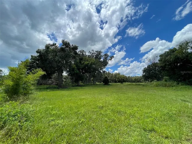 a view of a field of grass and trees