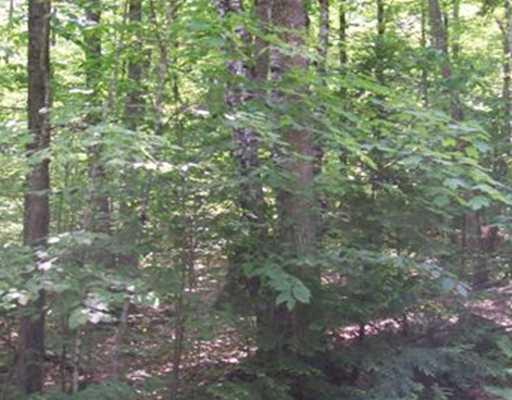 32-7 Friendship Acres Acres, Unit ACRES Bridgton, ME 04009 - Photo 3 of 13 Land/Lot.