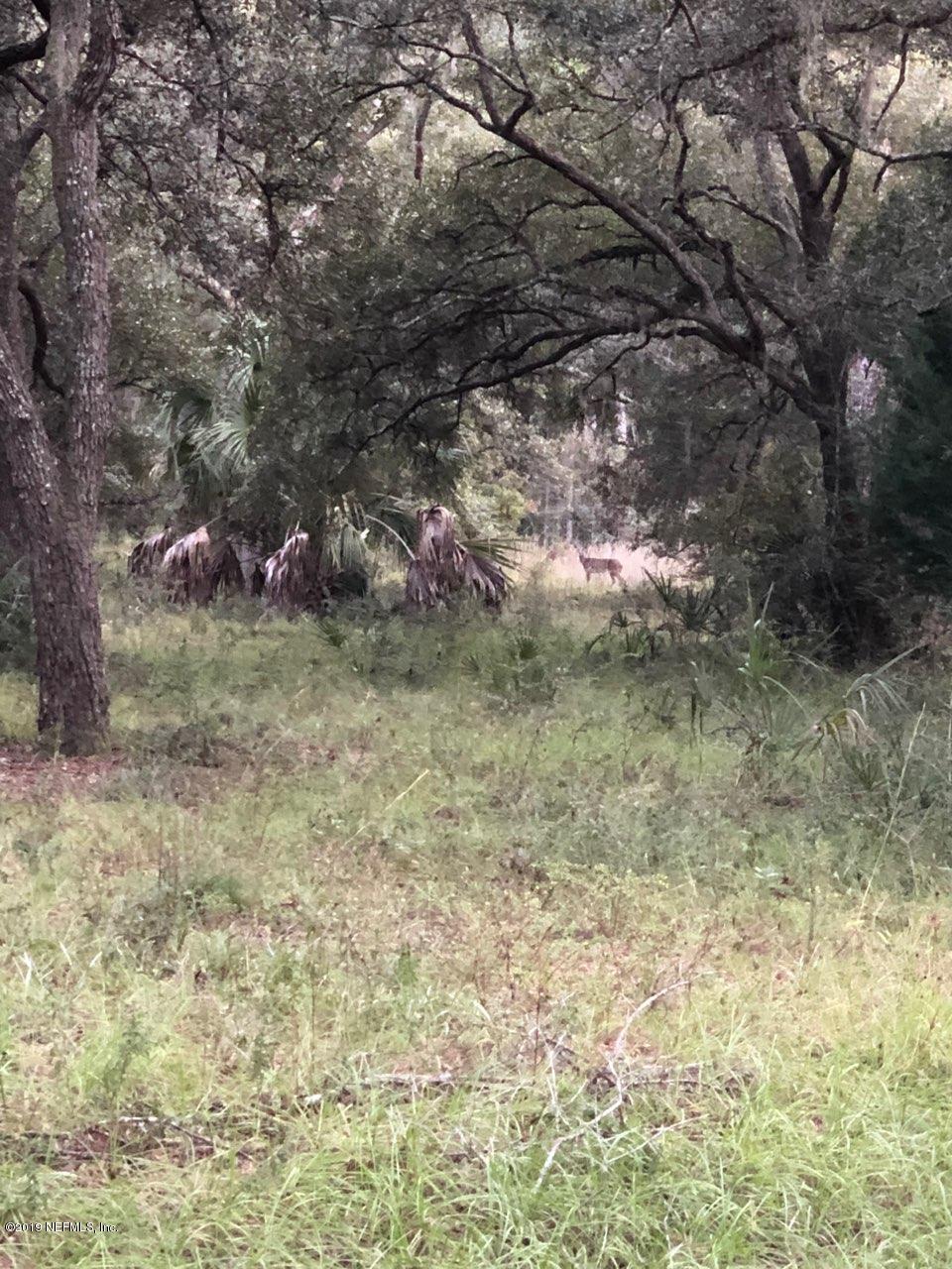 87433 Roses Bluff Road Yulee, FL 32097 - Photo 4 of 4 a view of a yard with a tree
