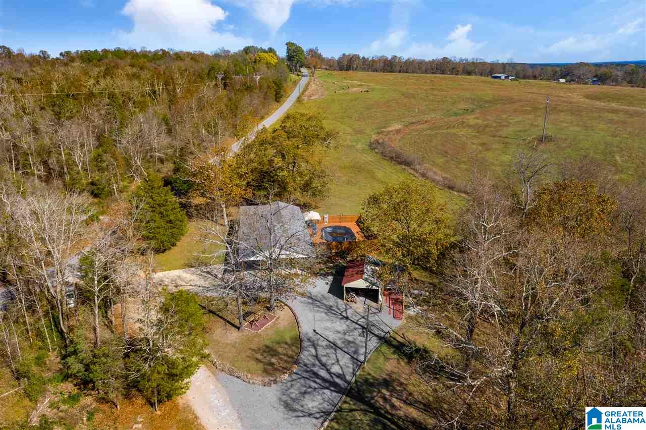 11 Posey Road Blountsville, AL 35031 - Photo 39 of 50