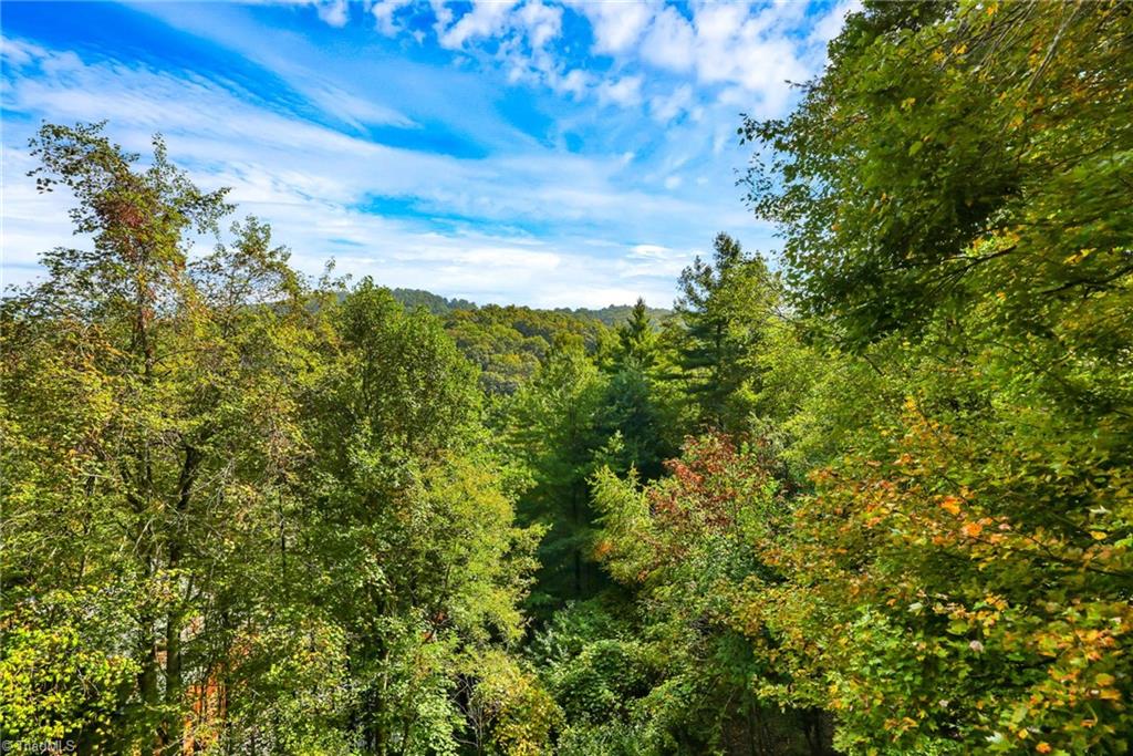 849 River Ridge Road Boone, NC 28607 - Photo 41 of 47