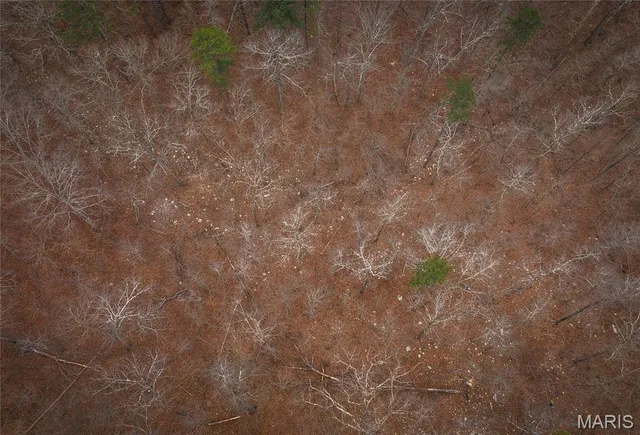 $125,000 | 0 Highway V Redford Mo 63665, Redford, MO 63665