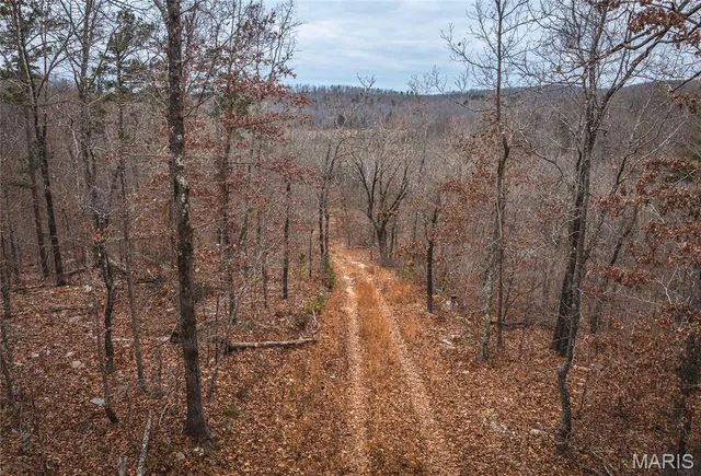 $125,000 | 0 Highway V Redford Mo 63665, Redford, MO 63665