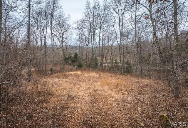 $125,000 | 0 Highway V Redford Mo 63665, Redford, MO 63665