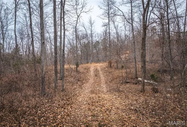 $125,000 | 0 Highway V Redford Mo 63665, Redford, MO 63665