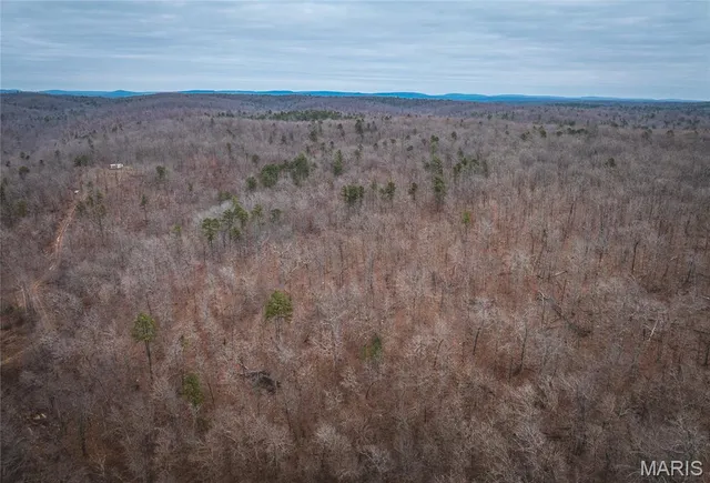 $125,000 | 0 Highway V Redford Mo 63665, Redford, MO 63665