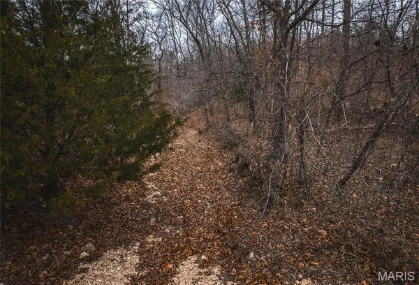 $125,000 | 0 Highway V Redford Mo 63665, Redford, MO 63665