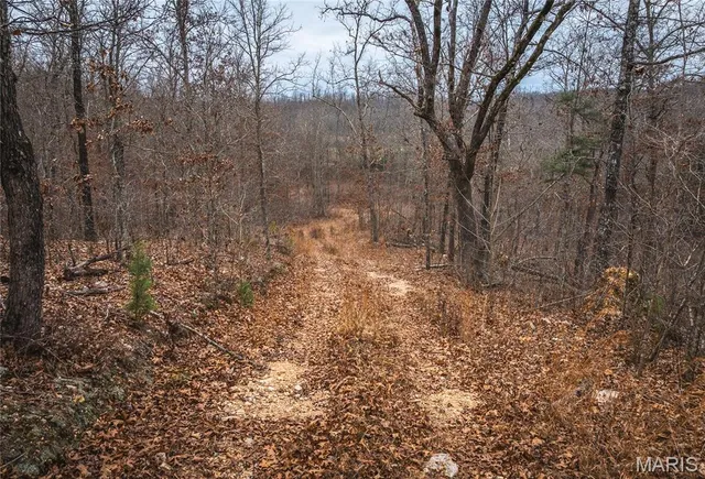 $125,000 | 0 Highway V Redford Mo 63665, Redford, MO 63665