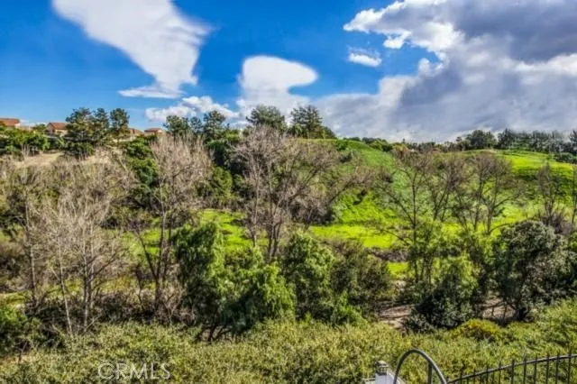 a view of a pathway both side of yard