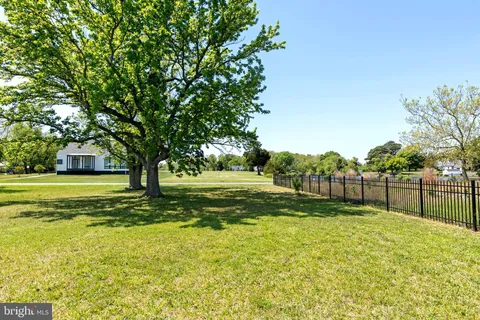 a view of a yard with a large trees