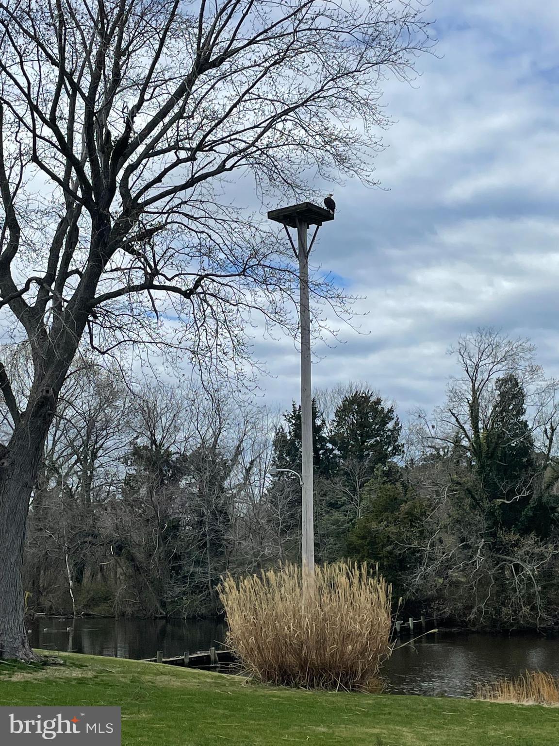 1508 Hambrooks Boulevard Cambridge, MD 21613 - Photo 2 of 44 Eagle's Nest