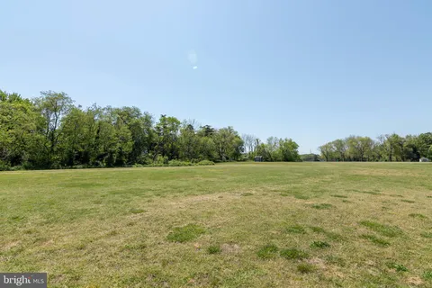 a view of field with trees in background