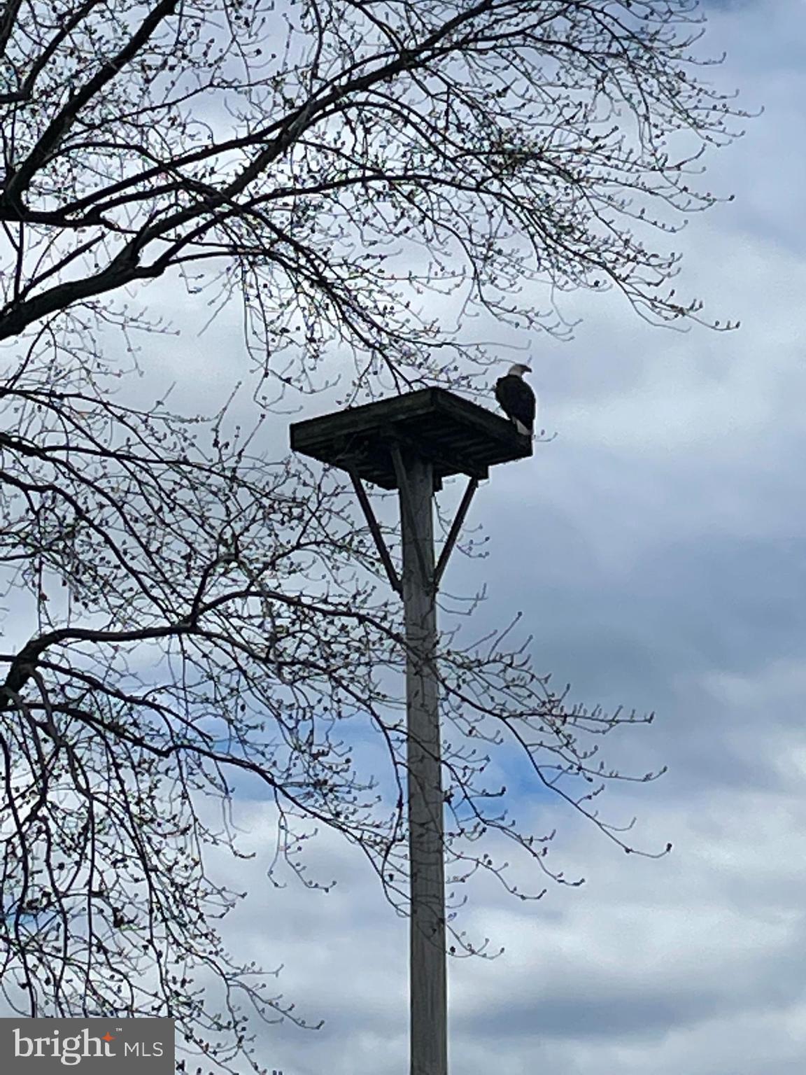 1508 Hambrooks Boulevard Cambridge, MD 21613 - Photo 36 of 44