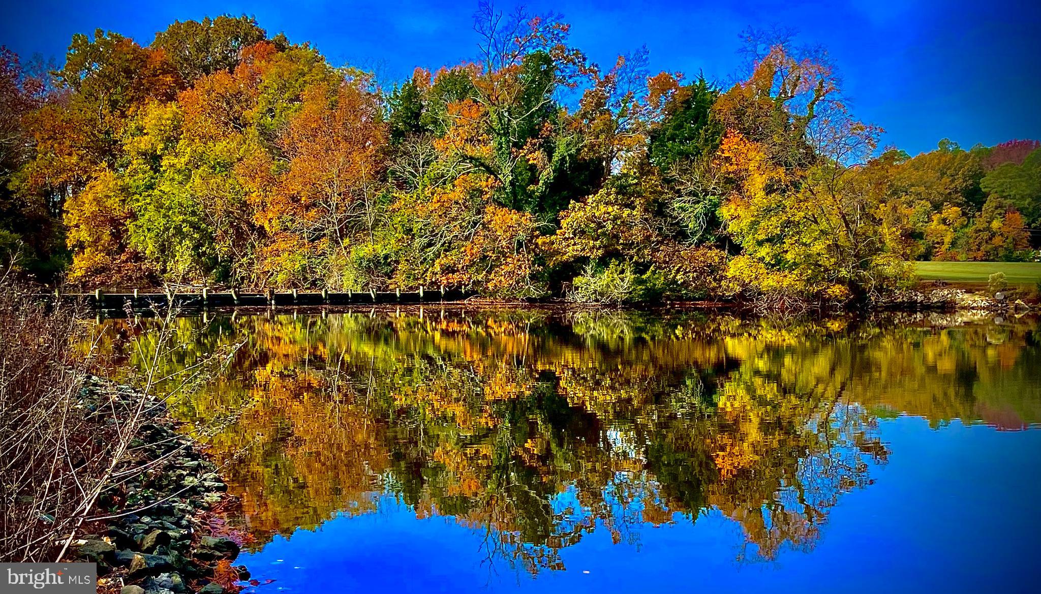 1508 Hambrooks Boulevard Cambridge, MD 21613 - Photo 38 of 44