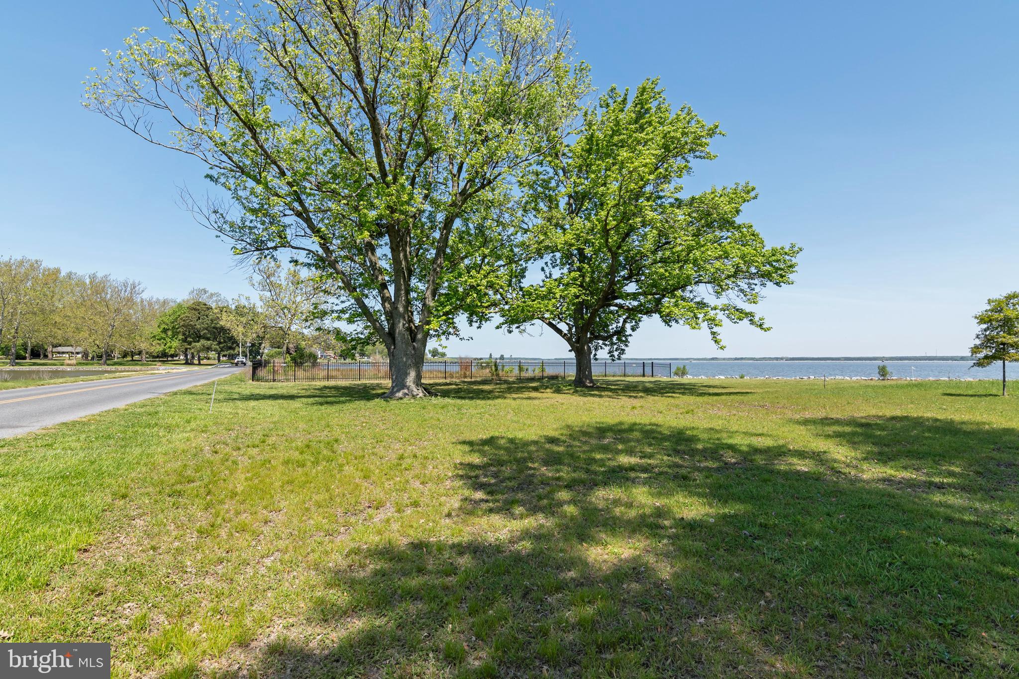 1508 Hambrooks Boulevard Cambridge, MD 21613 - Photo 10 of 44 Magnificent Trees