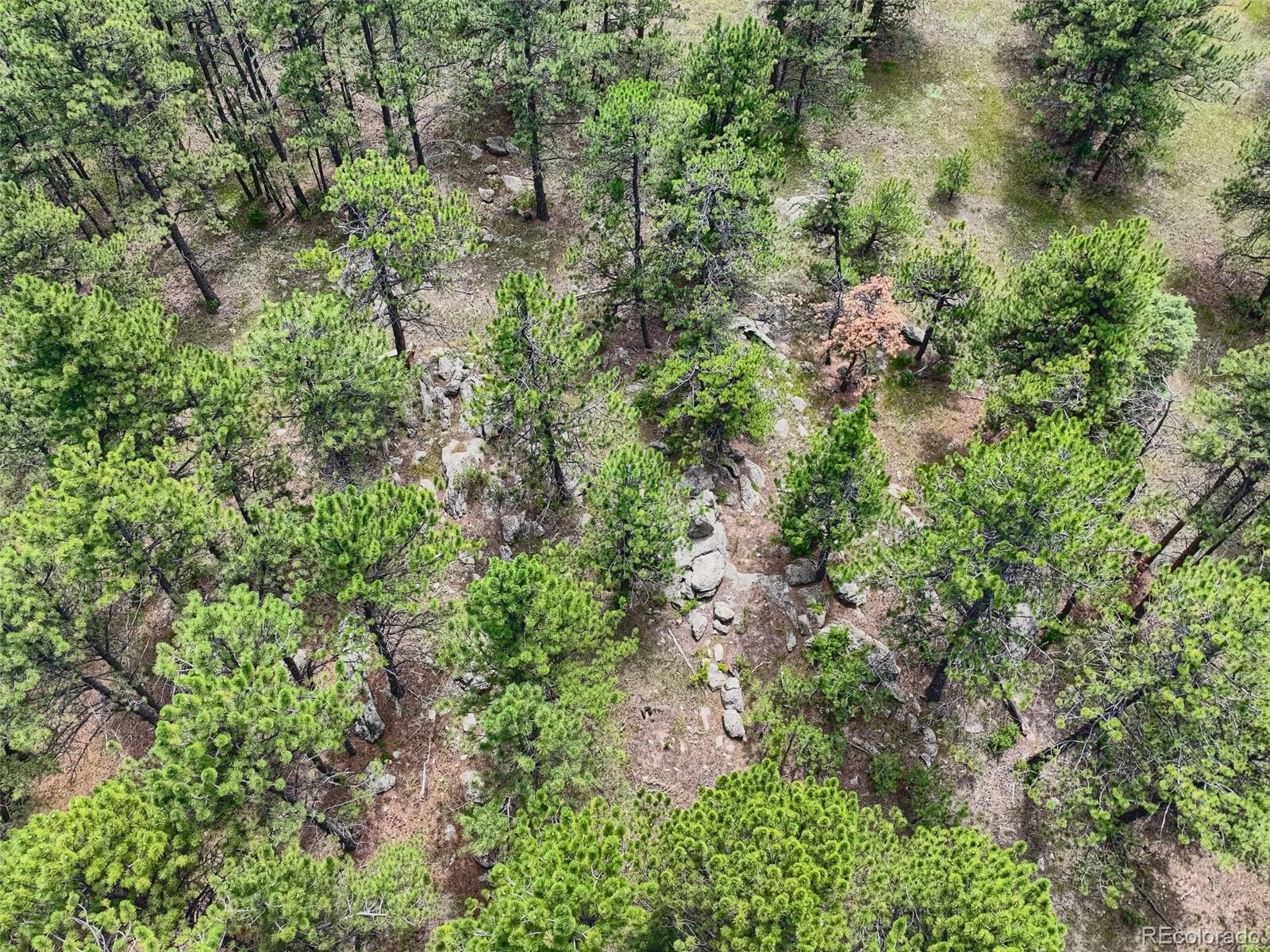 2117 Wieler Road Evergreen, CO 80439 - Photo 13 of 40 Gallery Image 13