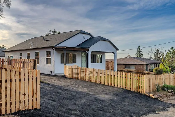 a view of a backyard with potted plants and large tree